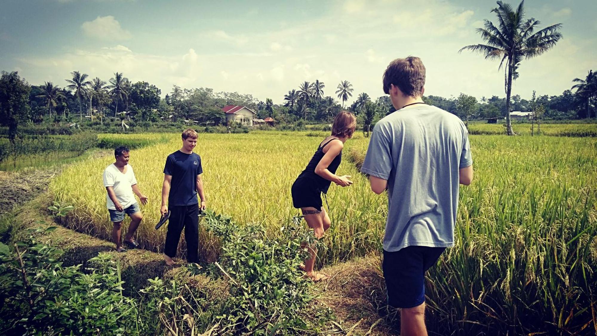 Bujak Permai Villa Matahari Lombok Ntb Прая Екстериор снимка