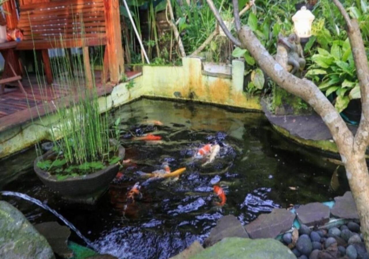 Bujak Permai Villa Matahari Lombok Ntb Прая Екстериор снимка