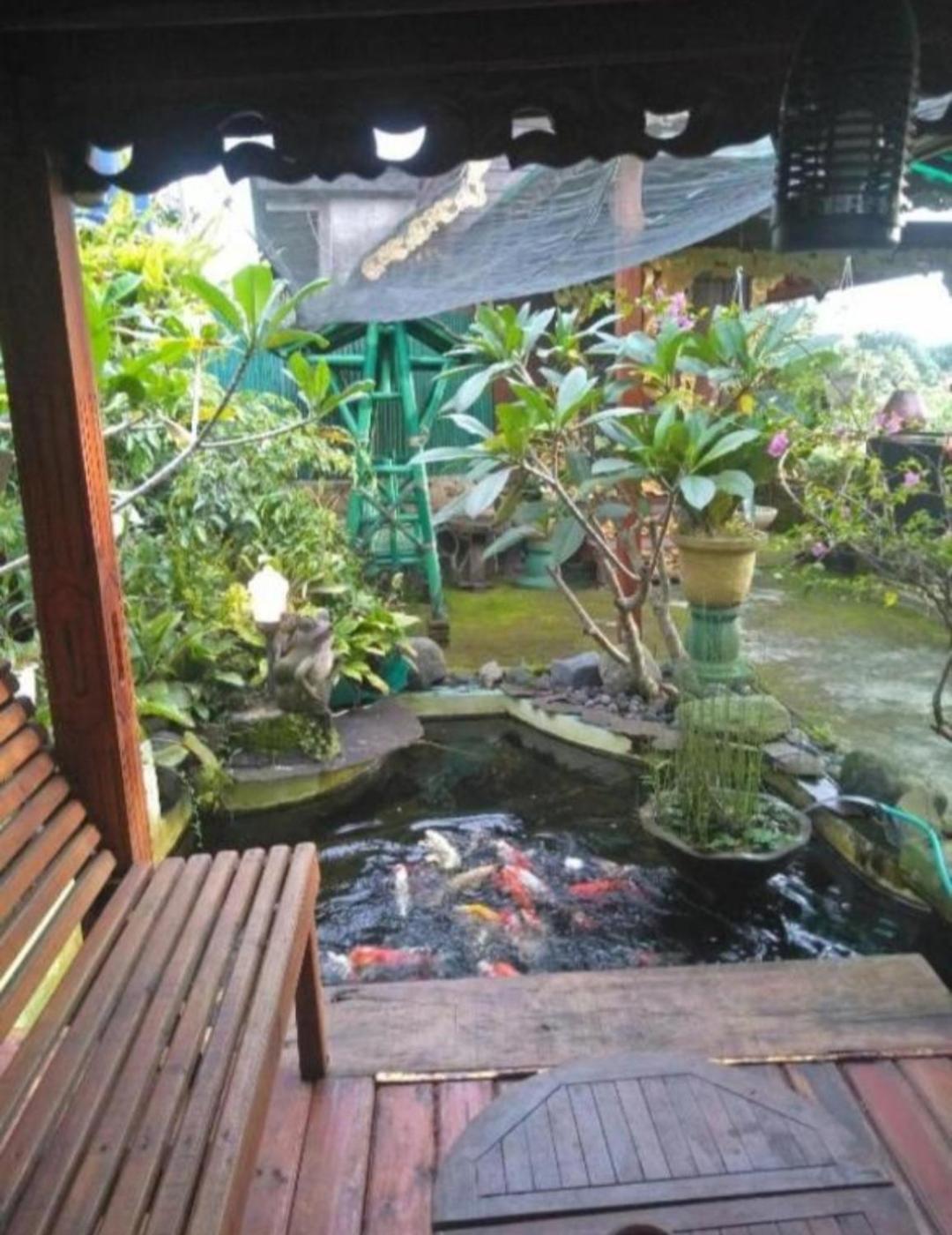 Bujak Permai Villa Matahari Lombok Ntb Прая Екстериор снимка